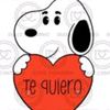 marcosgallardo41