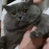 krutoi.minion0