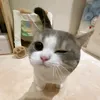 Nha Mẫn 🦄