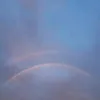 nhu.y_tctv