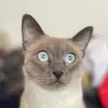 mynameisyours1200