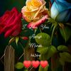 user660787869