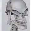 thienbui38