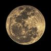 heymoonpages