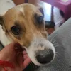 mariquilla_quita.quita