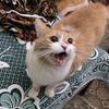 moemensaccount