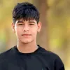 aem_275