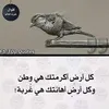 user441107807
