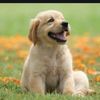 followfor.follow78