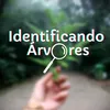 identificandoarvores