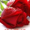 abdullahnoor264