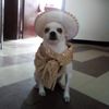 teolulu4