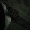 _raul_diaz555