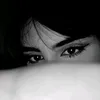 dody_11270
