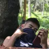 qjm32