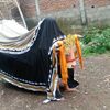 cahyaningbudoyo
