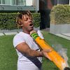 antshot