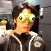povjungkooksdog