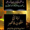 mirfan4737567gmail.com