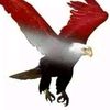 user8800418626399