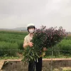 taphoaanan92