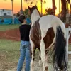 gabrielmontanari10