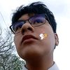 noa7_8