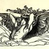 cherub