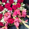 ilovebiral