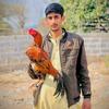 fahad_janjua512