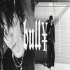 bully0.8