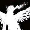 miracle_3yn