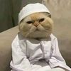 user8farhanhan