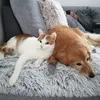 katkaklus
