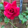 sarbjitsidhu47