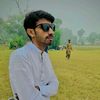 shahbazsani354
