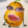 ranikarina3