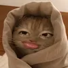 sausagee_3