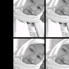 sissss_2526