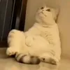 chillandmusic4