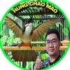 chaomaophihung