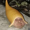 gockifr