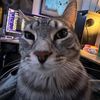 mr028qe