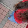 yazgi.t
