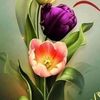 fatim_mah3