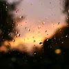 daily_dewii