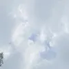 3vloop
