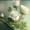 qahiera.hassen