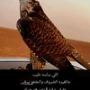 بلا هويه