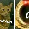leochijs